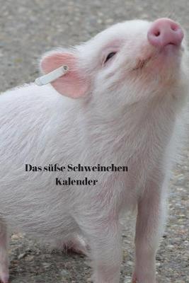 Book cover for Das susse Schweinchen Kalender