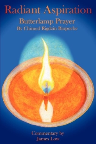 Cover of Radiant Aspiration