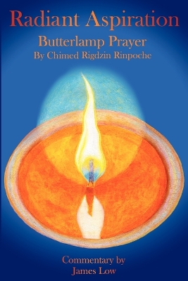 Book cover for Radiant Aspiration