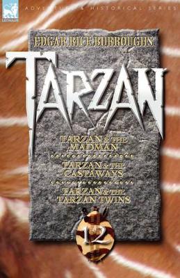 Book cover for Tarzan Volume Twelve