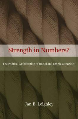 Book cover for Strength in Numbers?