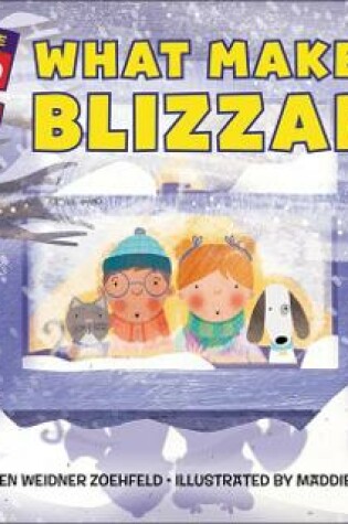 Cover of What Makes a Blizzard?