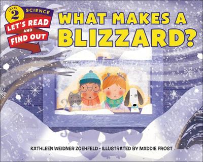 Book cover for What Makes a Blizzard?