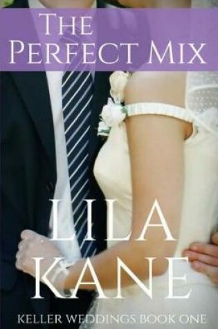 Cover of The Perfect Mix