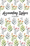 Book cover for Accounting Ledger 3 Column