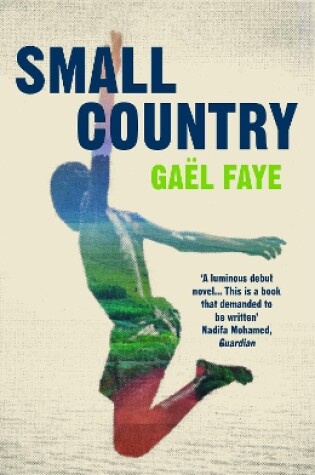 Cover of Small Country