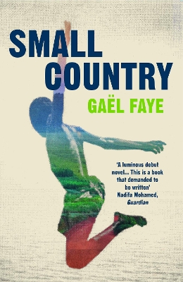 Book cover for Small Country