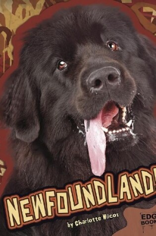 Cover of Newfoundlands