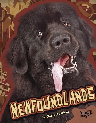 Cover of Newfoundlands