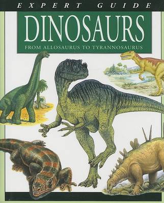 Book cover for Expert Guide Dinosaurs