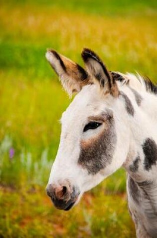 Cover of Wild Burro Portrait Journal