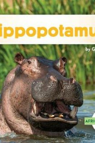 Cover of Hippopotamus