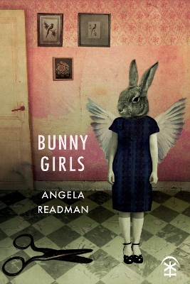 Book cover for Bunny Girls