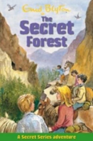 Cover of Secret Forest