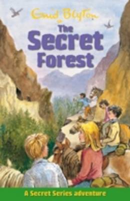 Book cover for Secret Forest