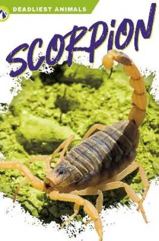 Cover of Scorpion