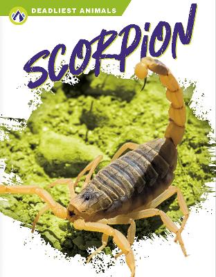 Book cover for Scorpion