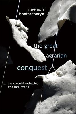 Book cover for The Great Agrarian Conquest