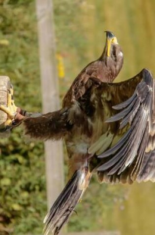 Cover of Steppe Eagle Perched on a Post, Birds of the World