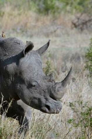 Cover of Great Rhino on the Savannah with 3 Bird Friends