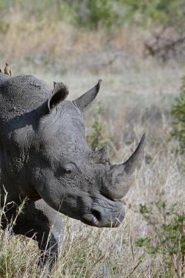 Book cover for Great Rhino on the Savannah with 3 Bird Friends