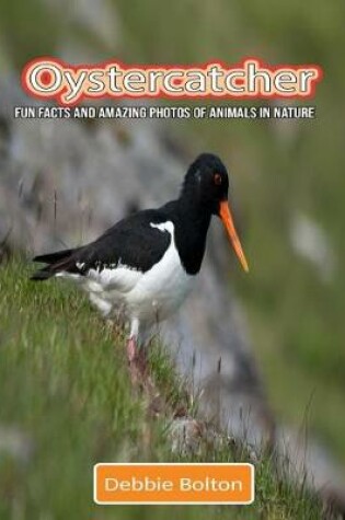 Cover of Oystercatcher