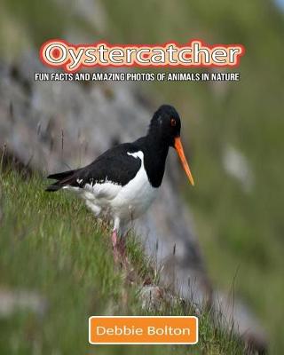 Book cover for Oystercatcher