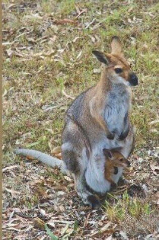 Cover of Wallaby Blank Lined Notebook Journal