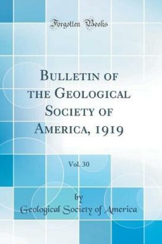 Cover of Bulletin of the Geological Society of America, 1919, Vol. 30 (Classic Reprint)