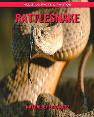 Book cover for Rattlesnake