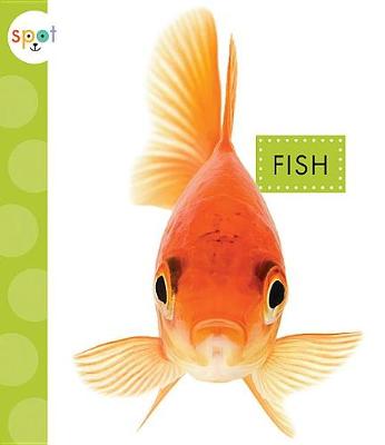 Book cover for Fish