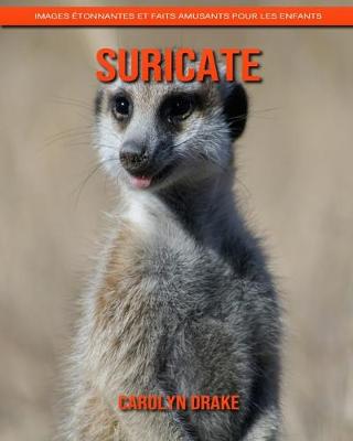Book cover for Suricate