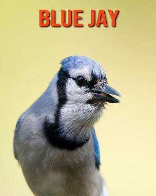 Book cover for Blue Jay