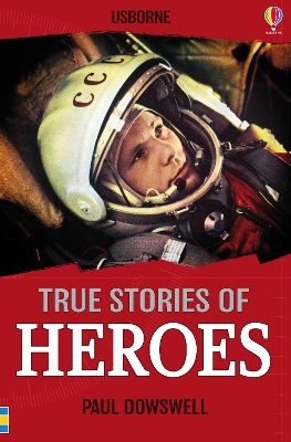 Cover of Heroes