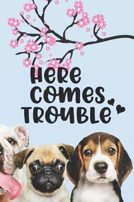 Book cover for Here Comes Trouble
