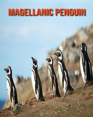 Book cover for Magellanic Penguin