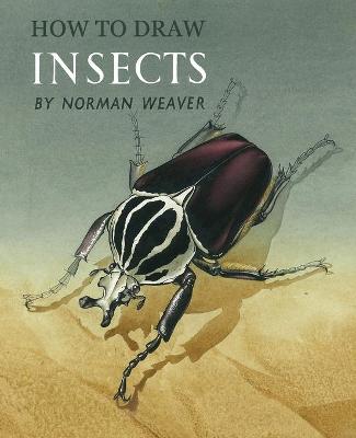 Book cover for How to Draw Insects (Facsimile Reprint)