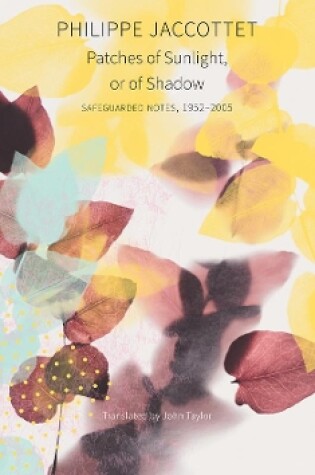 Cover of Patches of Sunlight, Or of Shadow