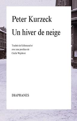 Book cover for Un Hiver de Neige