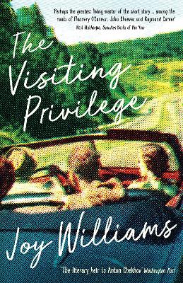 Book cover for The Visiting Privilege