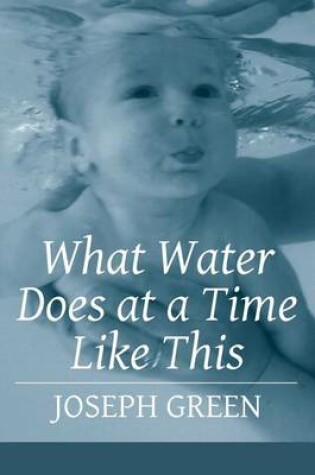 Cover of What Water Does at a Time Like This