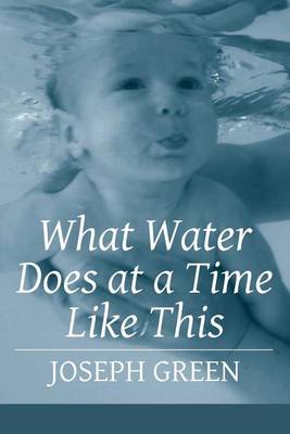 Book cover for What Water Does at a Time Like This