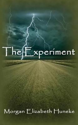Book cover for The Experiment