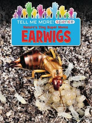 Book cover for Nature's Tiny Super Moms Earwigs