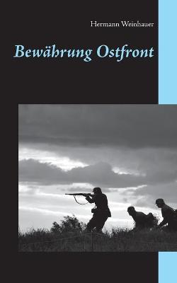 Book cover for Bewährung Ostfront