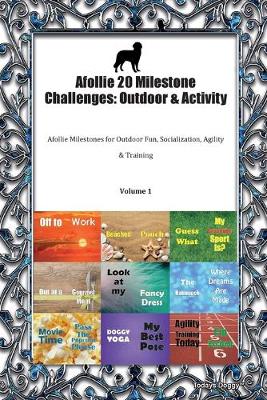 Book cover for Afollie 20 Milestone Challenges