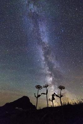 Book cover for Beautiful Landscape with the Milky Way Journal