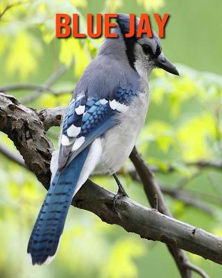 Book cover for Blue Jay