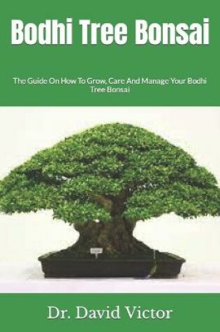 Cover of Bodhi Tree Bonsai