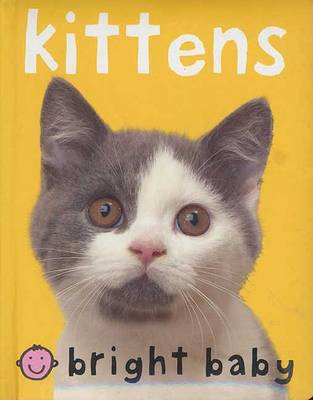Book cover for Bright Baby Kitten